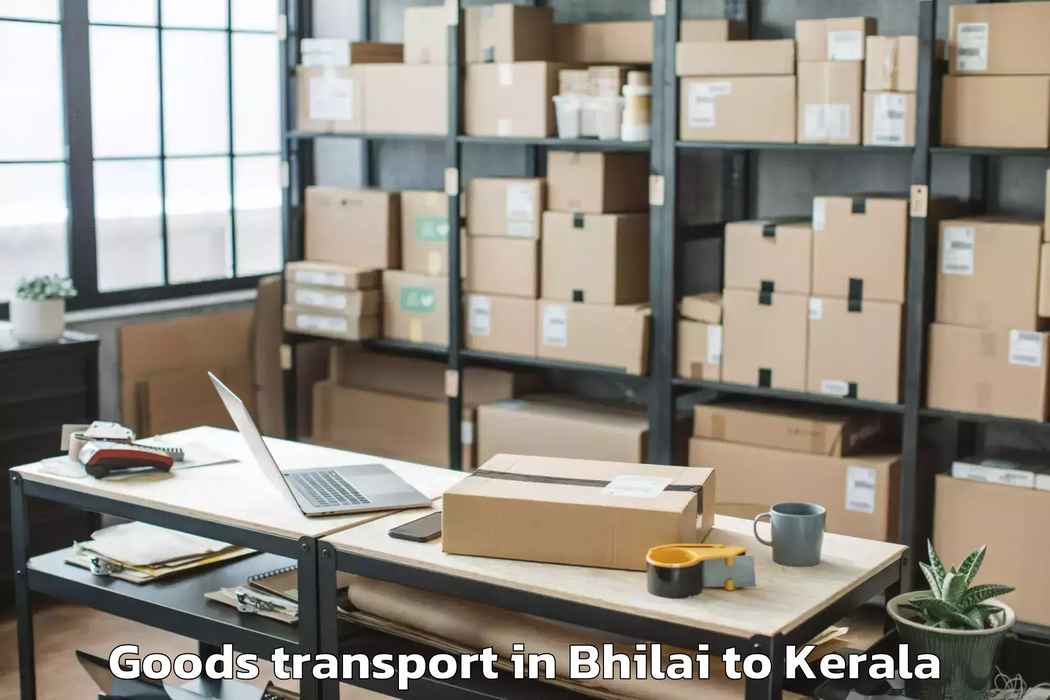 Easy Bhilai to Cheruthuruthi Goods Transport Booking